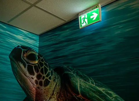 Bloemfonteijn Noodverlichting