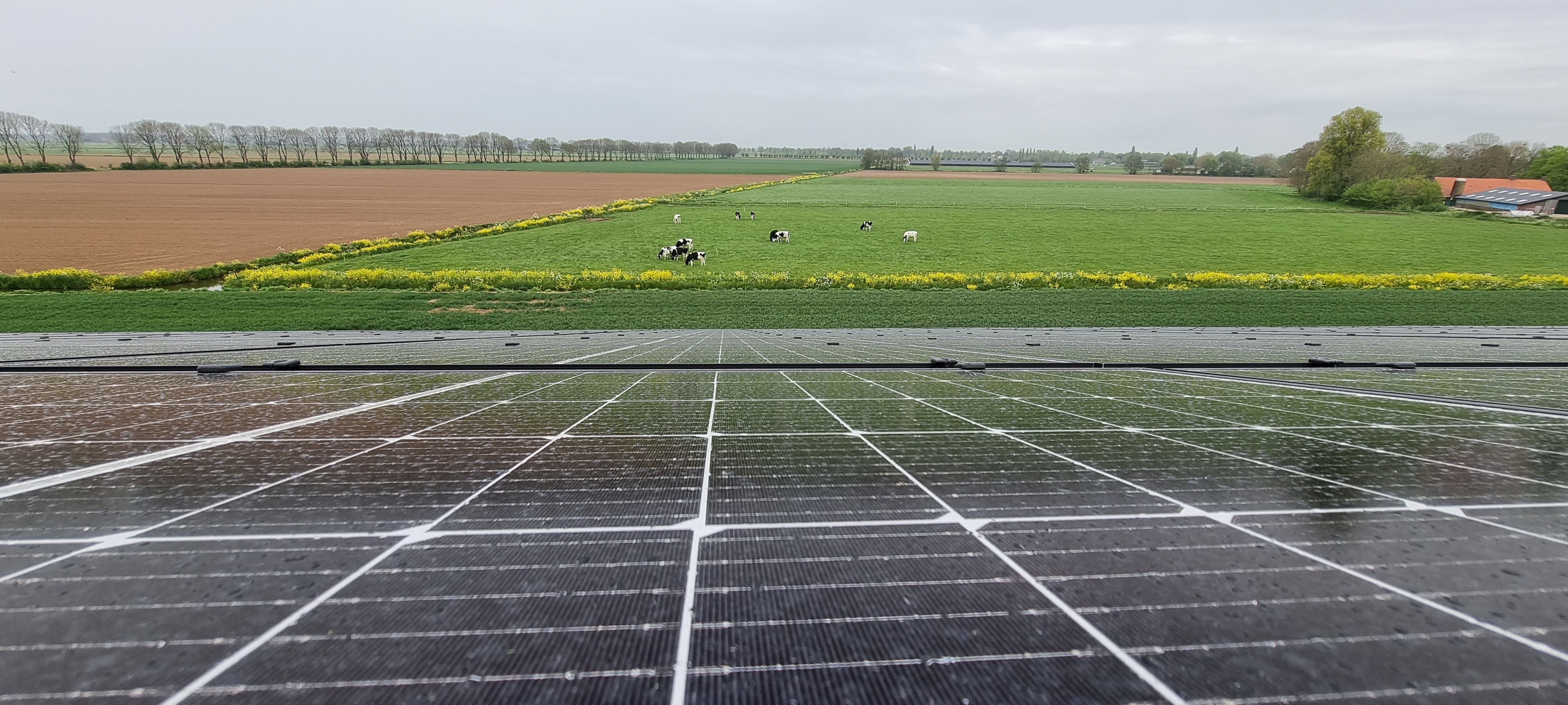 20210415 Alphen (16)